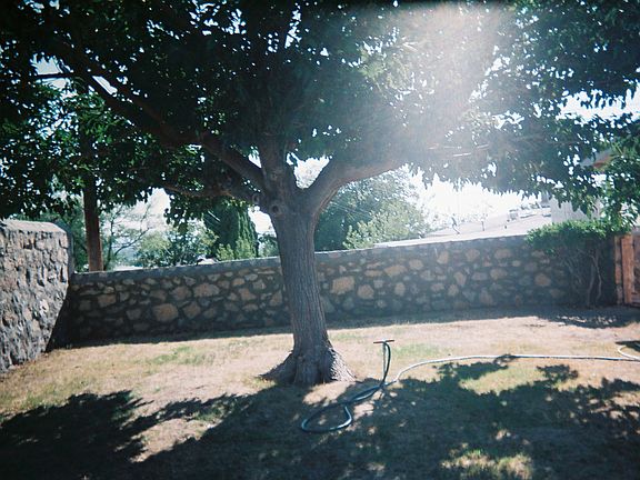 4th image of 3407 Sirius Dr