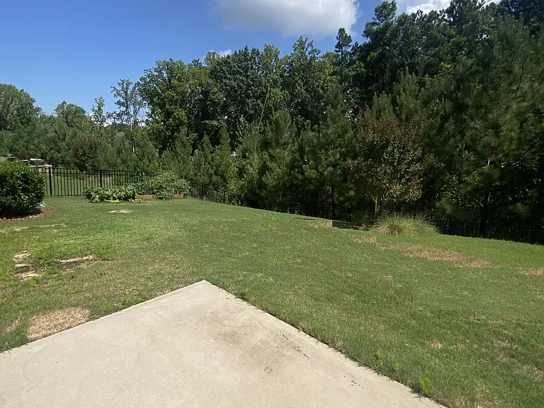 Private Backyard
