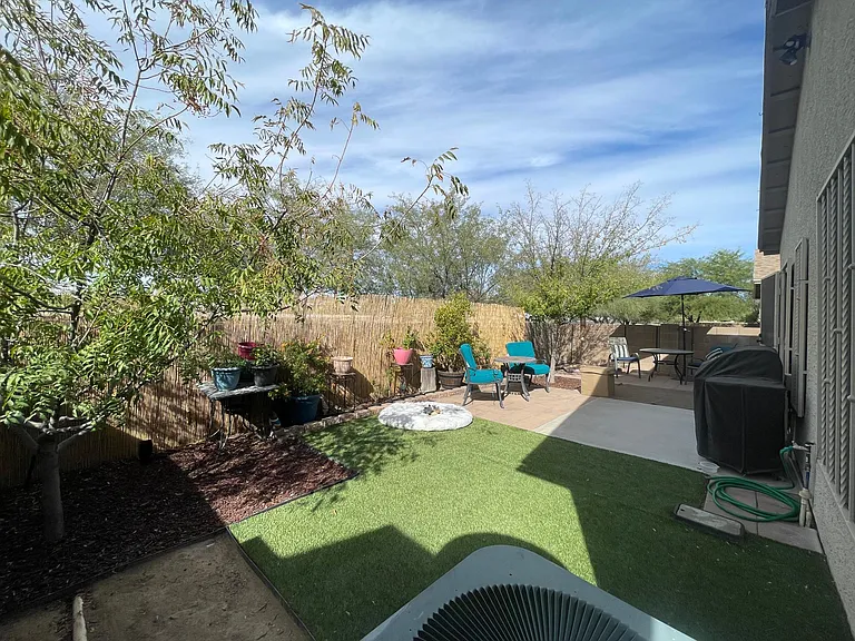 Backyard with artificial grass and two trees