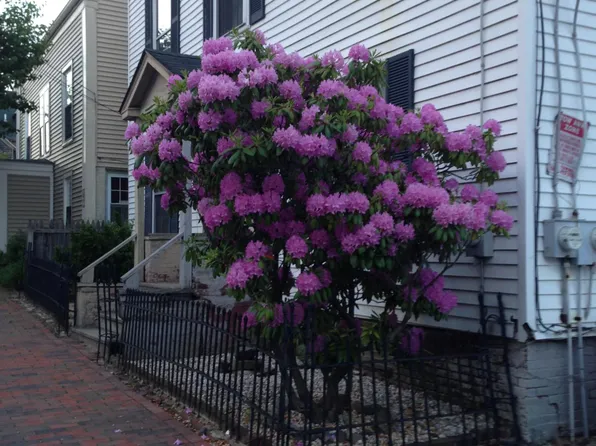 20 Summer St, Portland, ME 04102