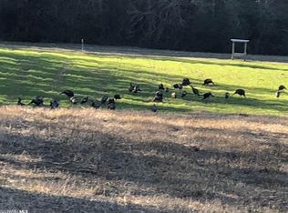 28339 New Hope Church Rd, Robertsdale, AL 36567