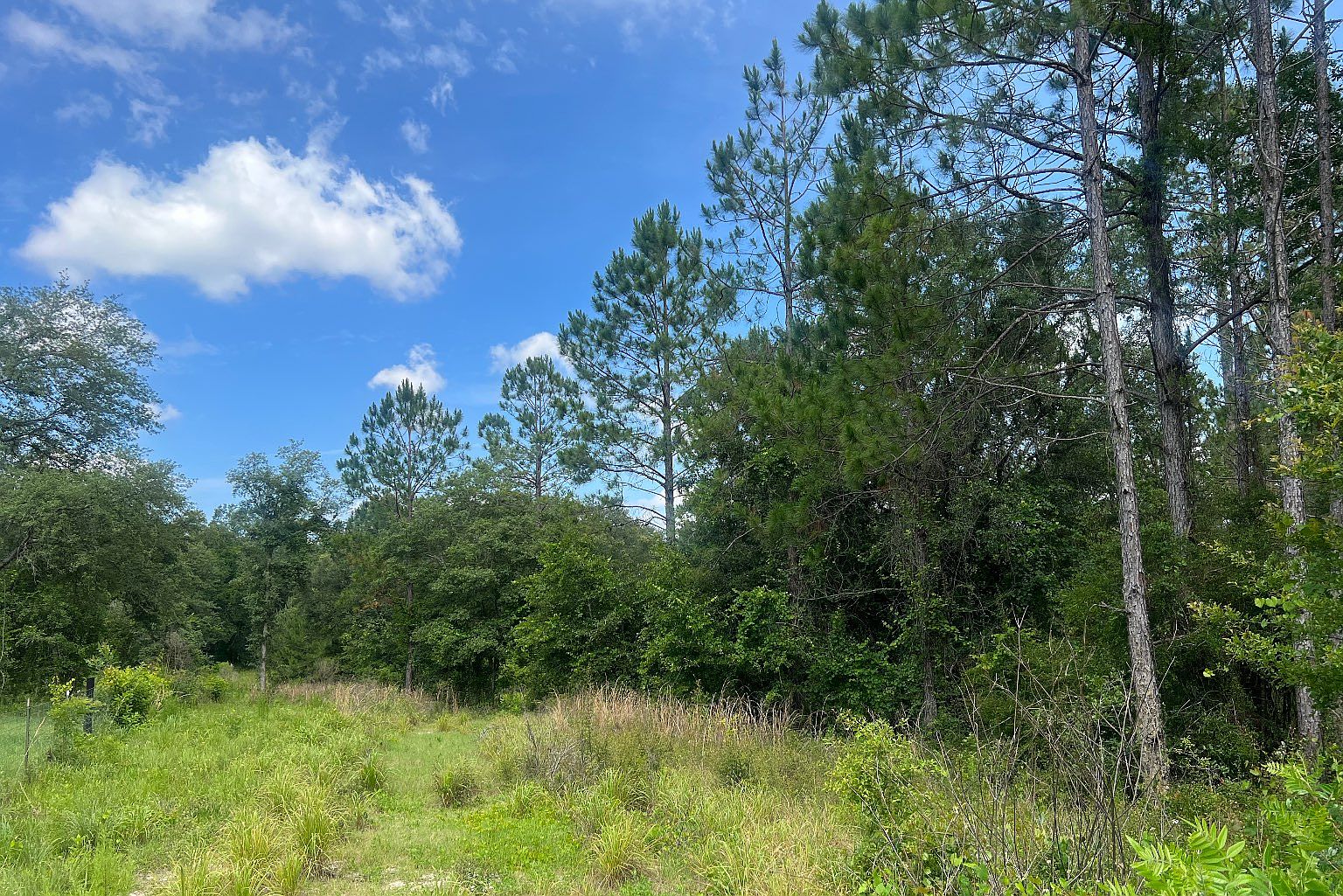 0 SW Wigwam Ct, Fort White, FL 32038 MLS 119850 Zillow