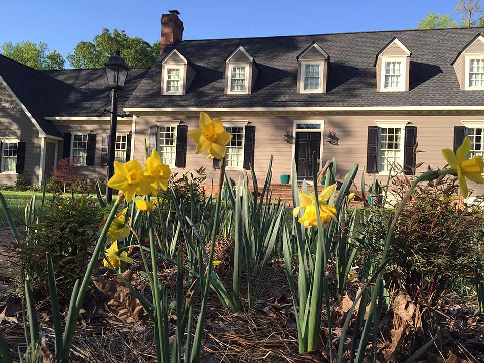 House with Daffodils