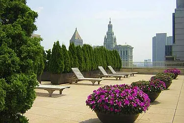 Rented by LL Real Estate Services