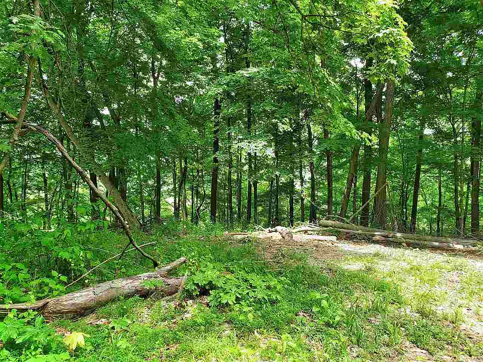 2nd image of Duck Creek Rd
