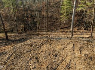 146 Cloudland Dr, Bristol, TN 37620