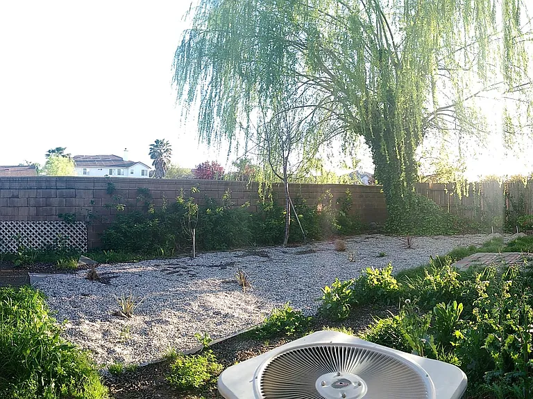 3448 Beretania Way — Photo 30