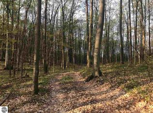 16 1/2 Road, Manton, MI 49663