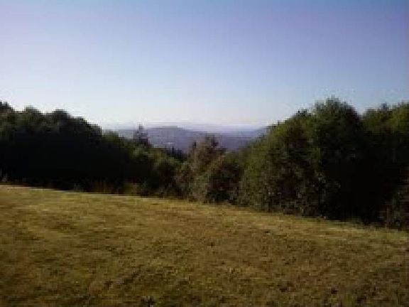 2nd image of 318 Peaceful Dr
