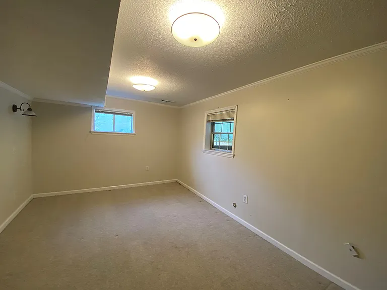 Downstairs Bedroom 2/Bonus Room