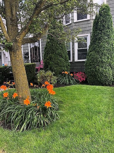 1st image of 58 Avery Ave