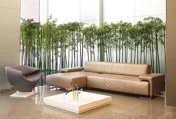 Rented by Triumph Property Group | media 5