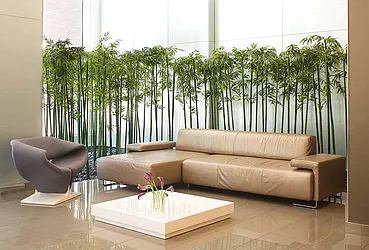 Rented by Triumph Property Group