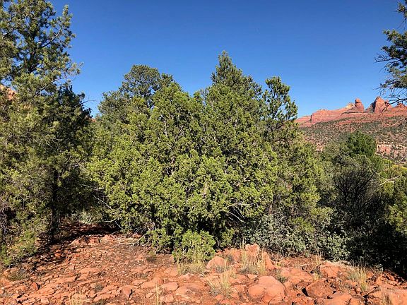 5th image of 25 Silver Sage Trl