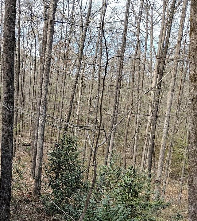 2nd image of Ogletree Rd
