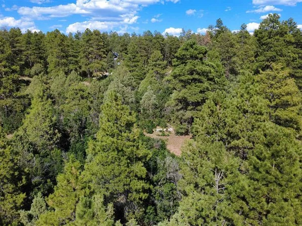 1824 Crooked Road, Pagosa Springs, CO 81147