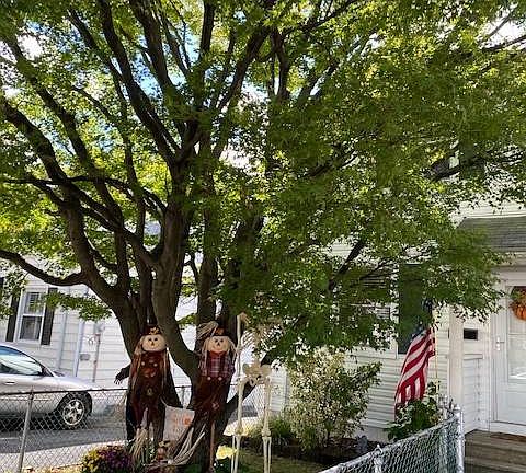 3rd image of 1582 Allerton Ave