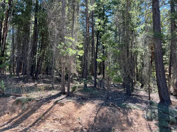 1311 Pine Forest Dr, Hayfork, CA 96041