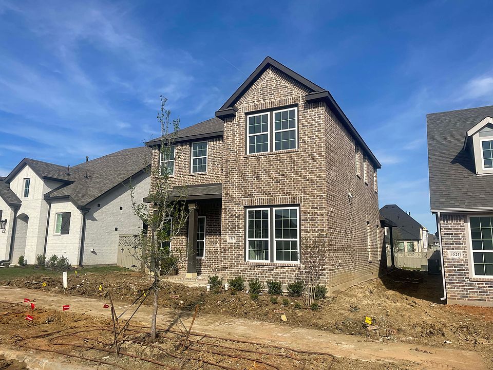 Exterior Design Construction Progress