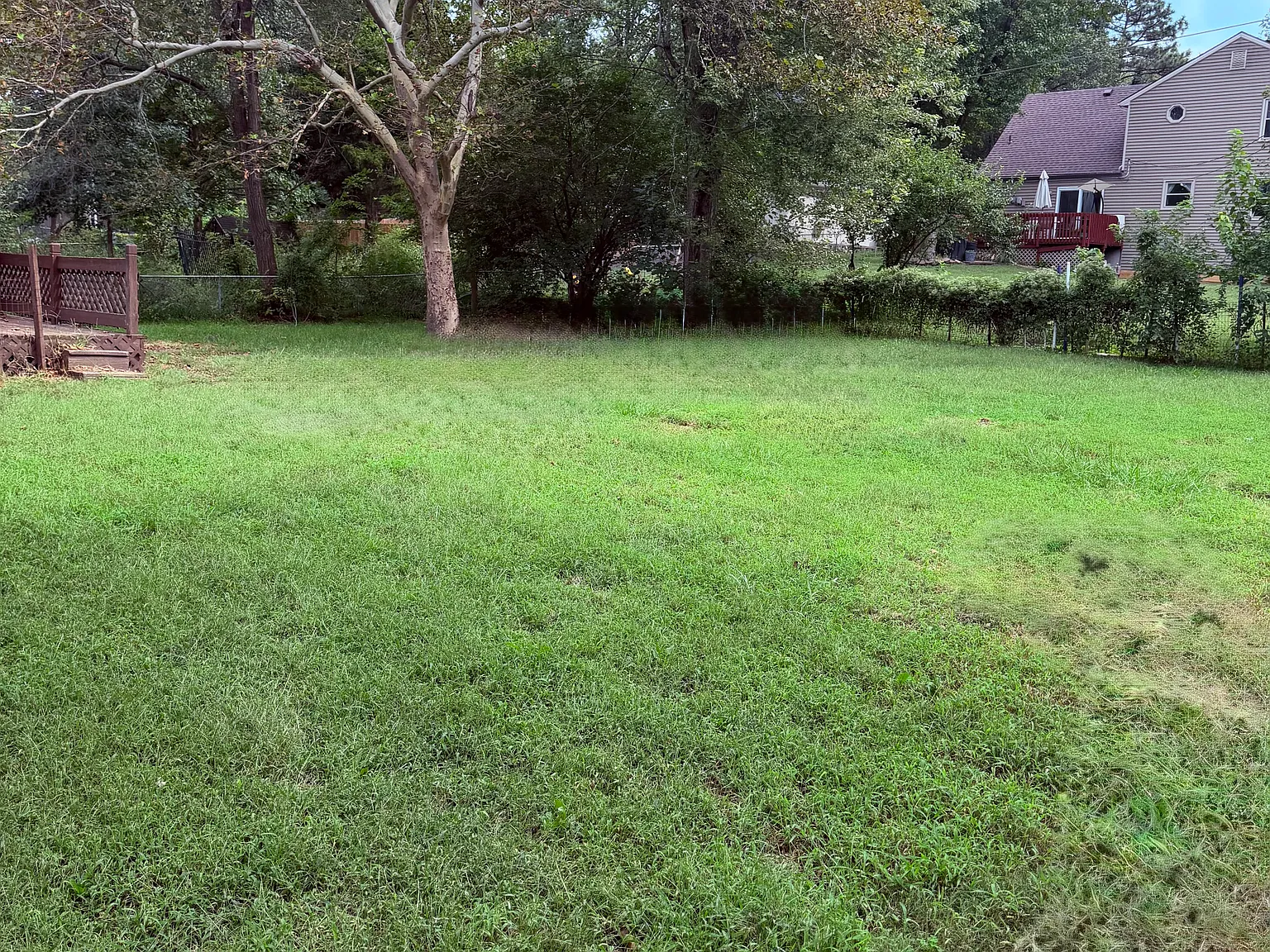 3 bed, 2000 sqft, $2,350 — Photo 3