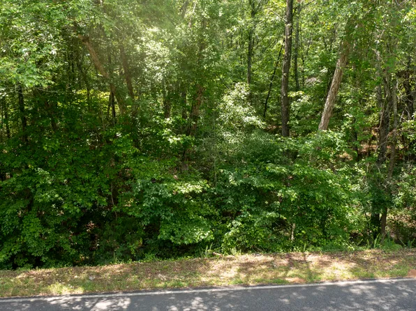 0 Shirey Rd, Manchester, GA 31816