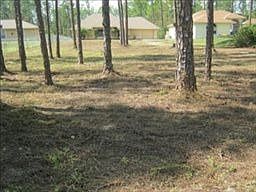 2nd image of 675 Desoto Blvd S