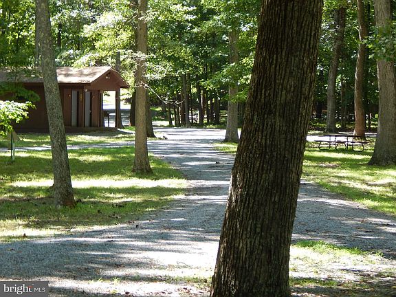 4th image of Sideling Mountain Trl