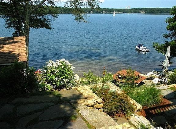 Rear Patio & Pond