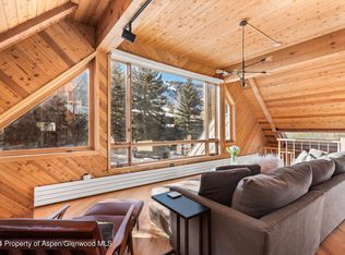 1020 E Hyman Ave #1, Aspen, CO 81611