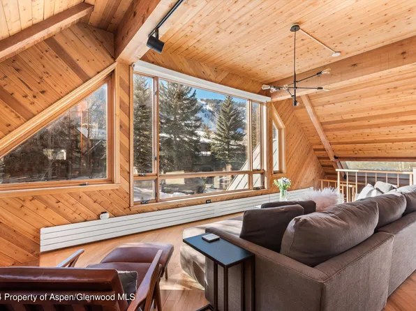 1020 E Hyman Ave Units 1 & 2, Aspen, CO 81611