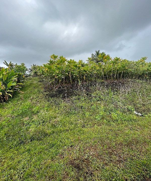 1st image of Ipuaiwaha St Lot 292