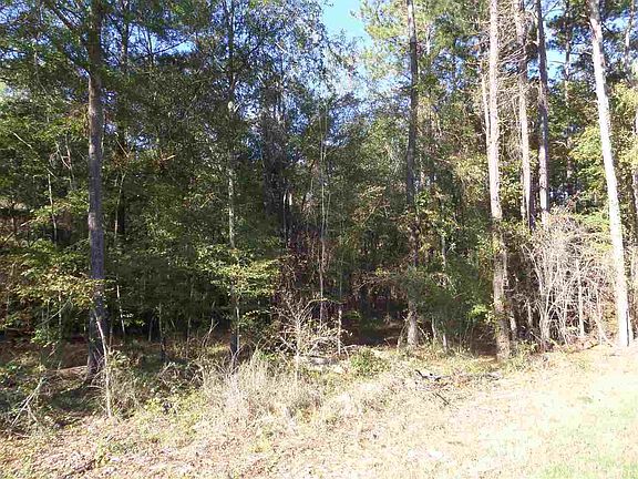4th image of 13059 State Highway 26 E
