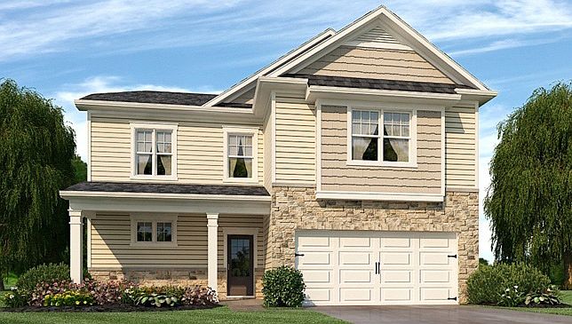 Elevation Image 1.