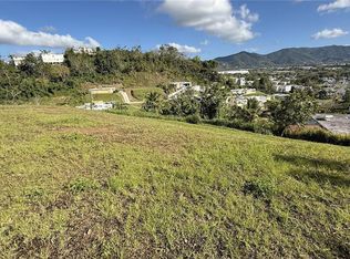 Calle Flamboyan Bo Arenas, Cidra, PR 00739