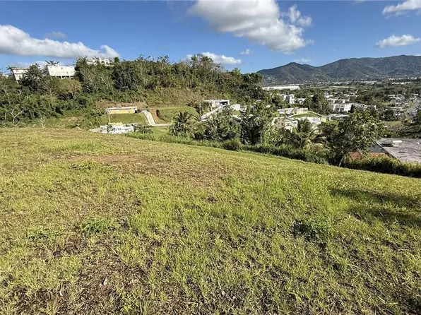 Calle Flamboyan Bo Arenas, Cidra, PR 00739