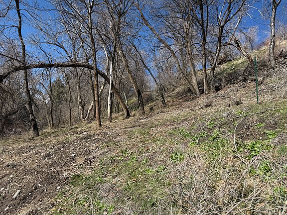 4th image of 745 Canyon Rd