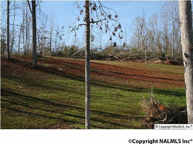 2nd image of 301 Pine Dale Dr