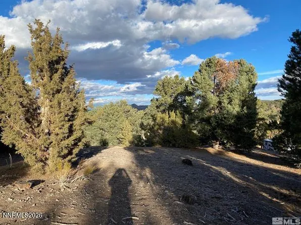 21650 Palamino Rd, Reno, NV 89521