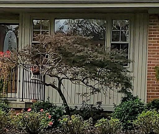 5th image of 110 Morgan Johnston Cir NE