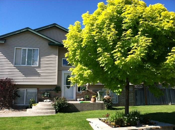 2nd image of 6505 W Silverado St