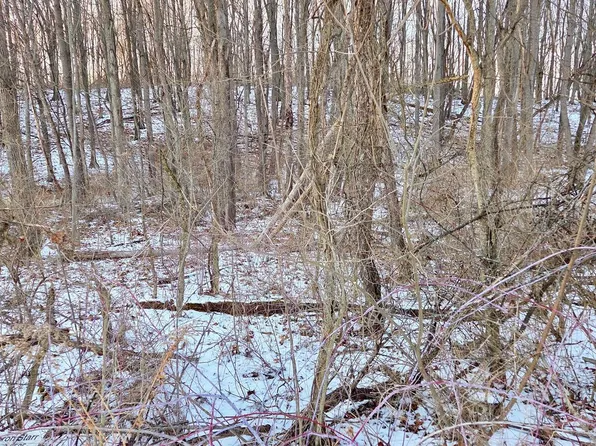 Foxglove Rd, Altoona, PA 16601