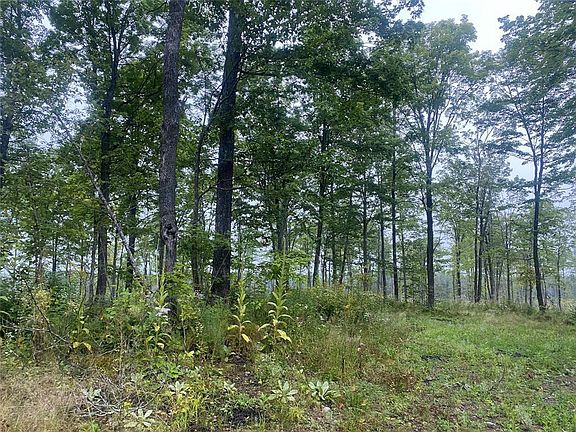 4th image of On Doland Road