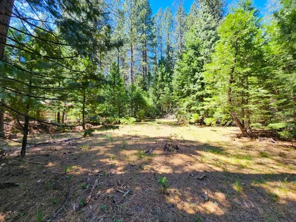 1540 Lily Valley Cir, West Point, CA 95255