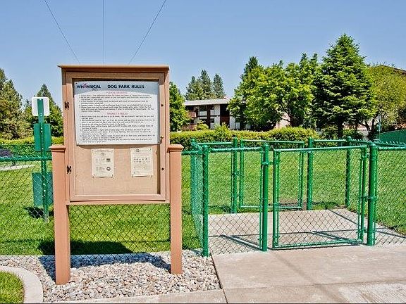 Dog Park