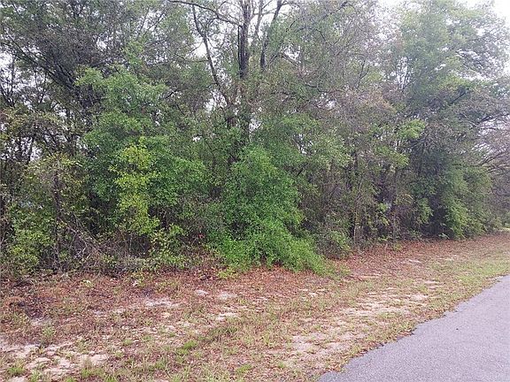 3rd image of 7851 N VINCE DRIVE LOT 14