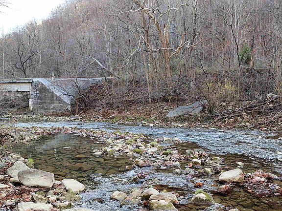 5th image of 2533 N Fork Rd