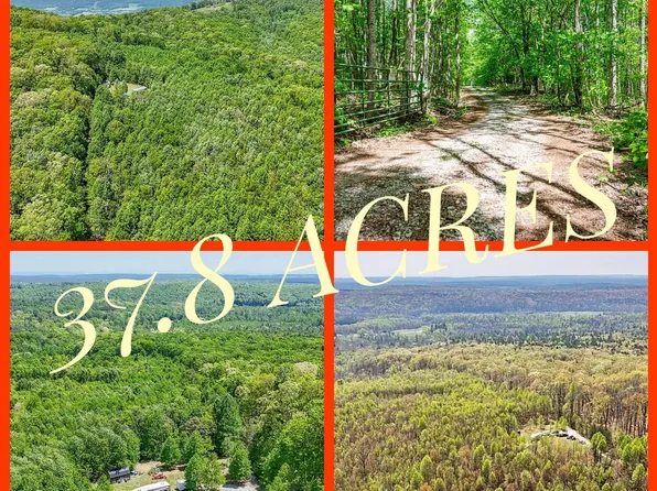 1867 Big Ridge Rd, Spring City, TN 37381