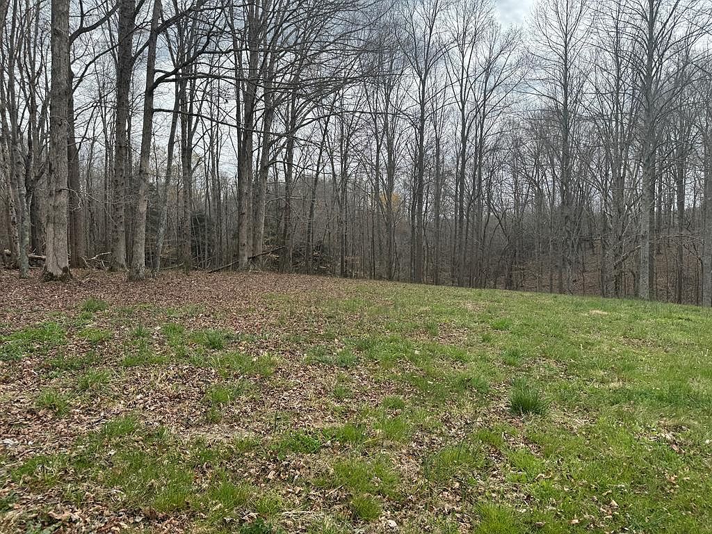 LOT 1 Ralph Spivey Ln, Gainesboro, TN 38562 | Zillow