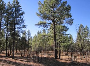 3813 Apache Dr, Happy Jack, AZ 86024