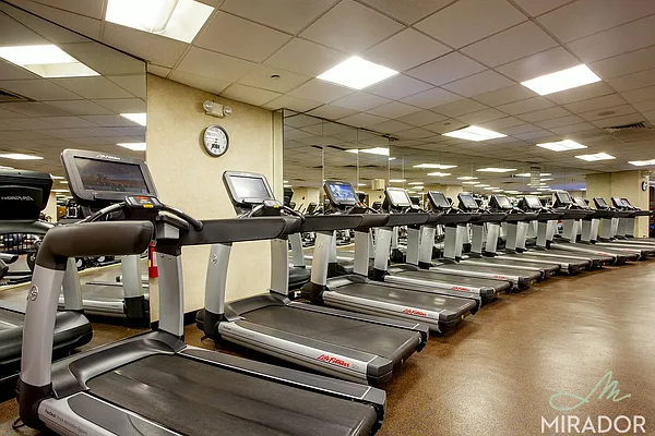 Rented by Mirador Real Estate | media 67